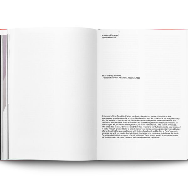 Lawrence Abu Hamdan / Dirty Evidence - Image 5