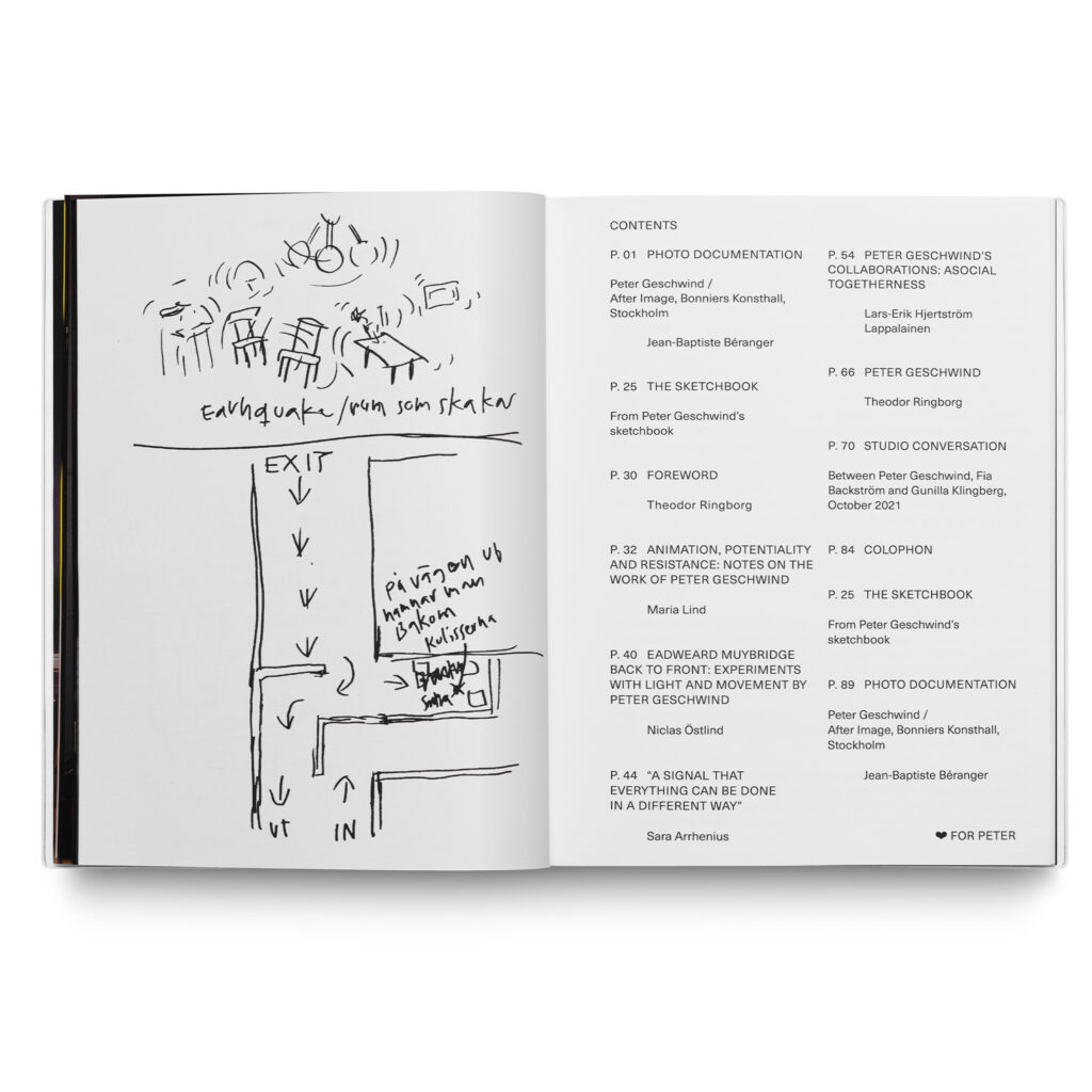 Peter Geschwind / After Image (Swedish edition)