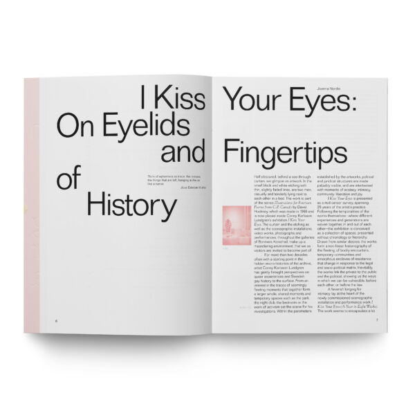 Conny Karlsson Lundgren:  I Kiss Your Eyes / Jag kysser dina ögon - Image 7